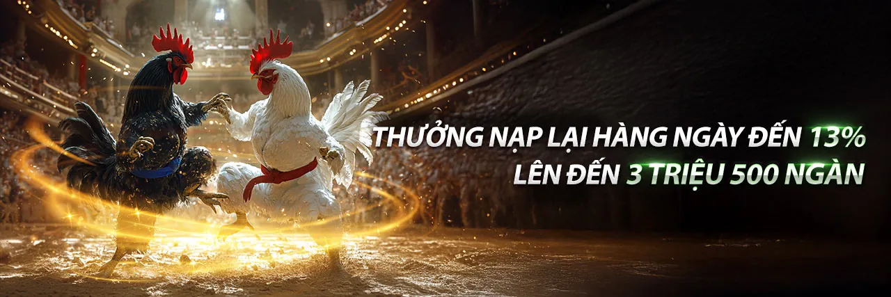 Đá gà mạng ngày hôm nay tại FLY88